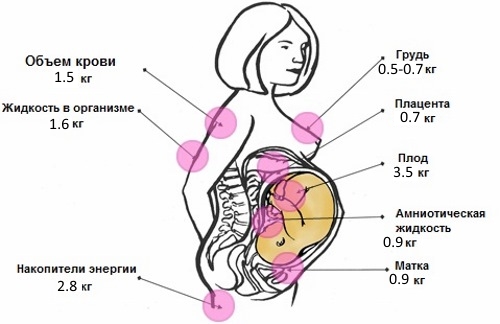 Набор веса при беременности по неделям, месяцам. График, таблица норм, как рассчитать оптимальный, минимальный у плода, по двойне