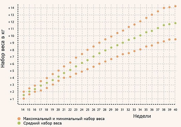 Набор веса при беременности по неделям, месяцам. График, таблица норм, как рассчитать оптимальный, минимальный у плода, по двойне