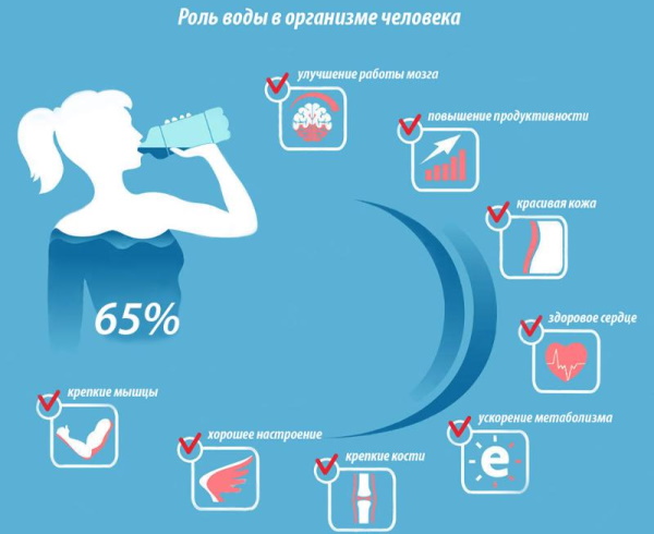 Какие напитки можно пить при беременности. Список