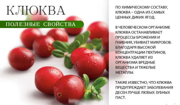 Какие напитки можно пить при беременности. Список