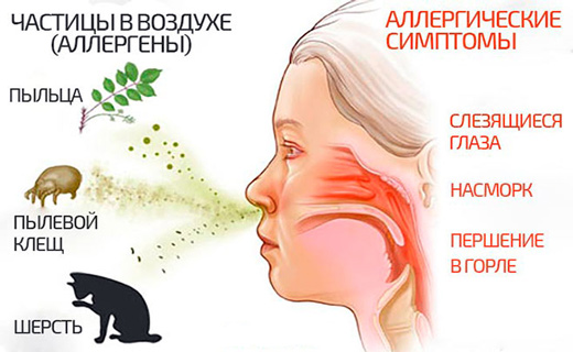 Чем лечить насморк у новорожденного в 1-2-3-4-7 месяцев