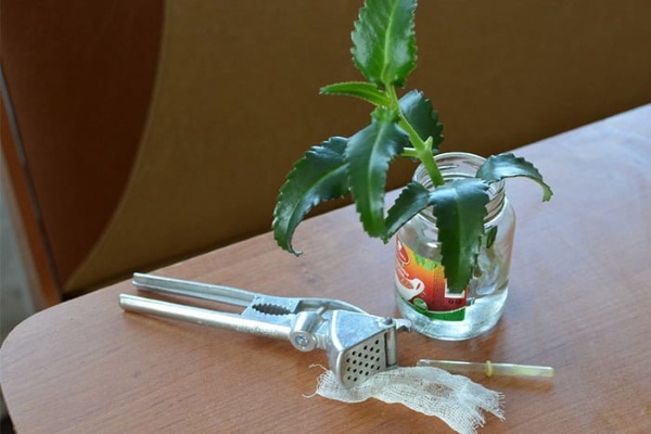 Как лечить насморк у ребенка 3 года. Народные средства, лекарства из аптеки