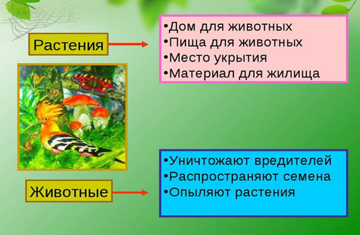 Невидимые нити в осеннем лесу. Презентация окружающий мир 2-3 класс. Конспект урока, схема