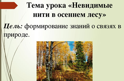 Невидимые нити в осеннем лесу. Презентация окружающий мир 2-3 класс. Конспект урока, схема
