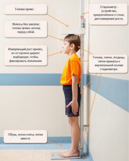 Норма роста и веса у подростков. Центильные таблицы