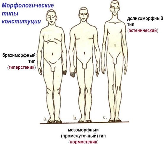 Норма роста и веса у подростков. Центильные таблицы