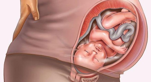 Опустился живот при беременности. Когда рожать у повторнородящих, первородящих, как определить, ощущения