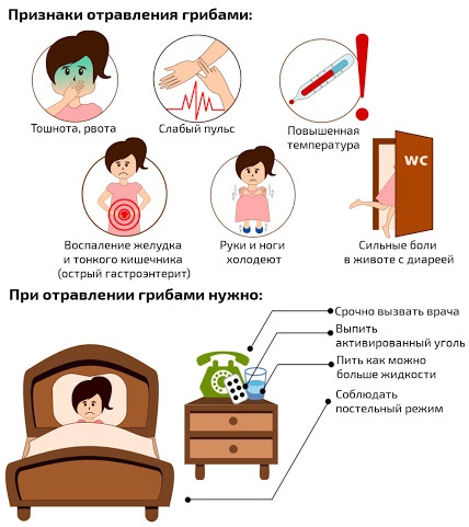 Отравление при беременности 1-2-3 триместр. Что делать