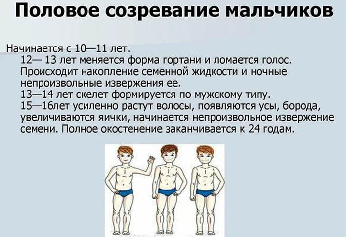 Переходный возраст у мальчиков. Симптомы, со скольки и до скольки лет
