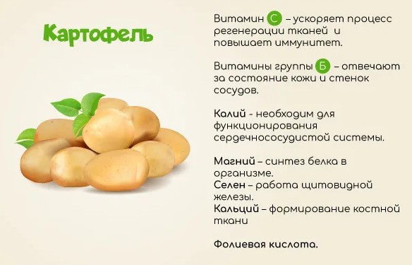 Питание ребенка в 2 года. Чем кормить, рацион