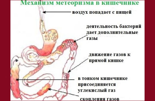 Плантекс. Инструкция по применению новорожденным, цена, аналоги, отзывы