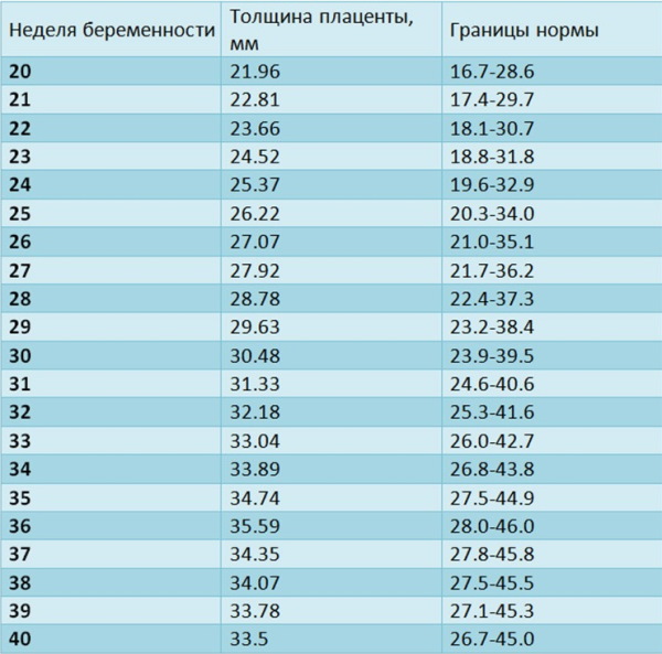 Плацента 0-1-2-3 степени зрелости: что значит, как определить