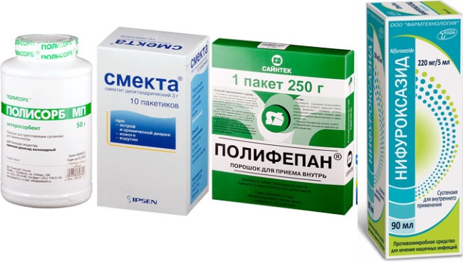 Понос при беременности на ранних сроках. Причины и лечение, что делать, принимать