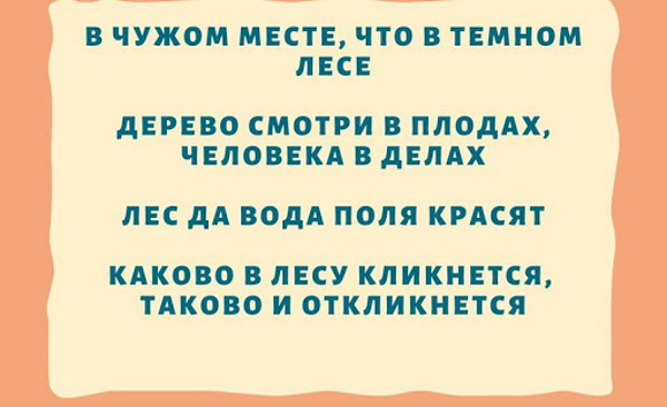Пословицы и поговорки про лес для детей, школьников