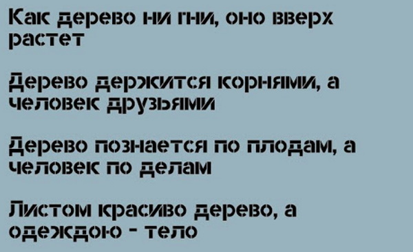 Пословицы и поговорки про лес для детей, школьников