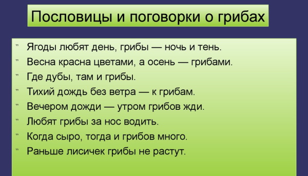 Пословицы и поговорки про лес для детей, школьников