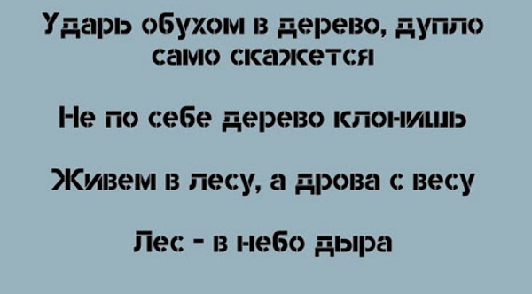 Пословицы и поговорки про лес для детей, школьников