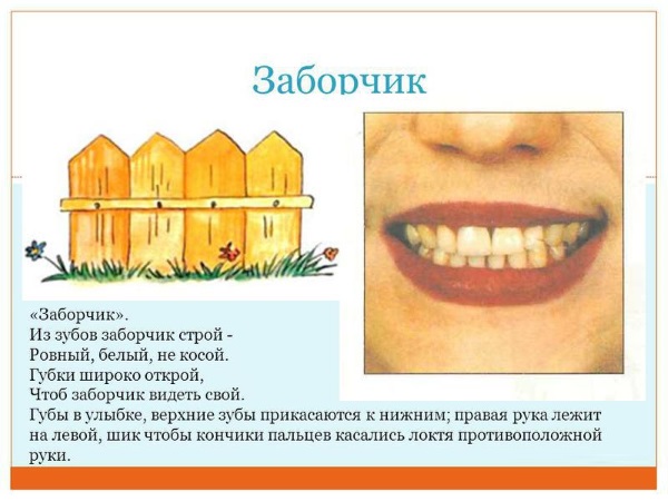 Постановка звука "С" ребенку поэтапно. Занятия, конспект для логопеда, родителей, видео уроки, последовательность упражнения с картинками. Артикуляционная гимнастика