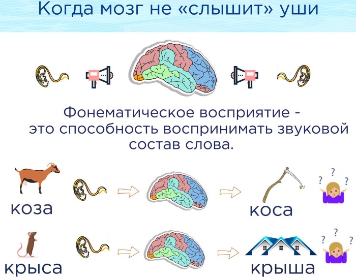 Постановка звука Ш у детей 3-4-5-6 лет, с ОНР, ЗПР, автоматизация. Видео