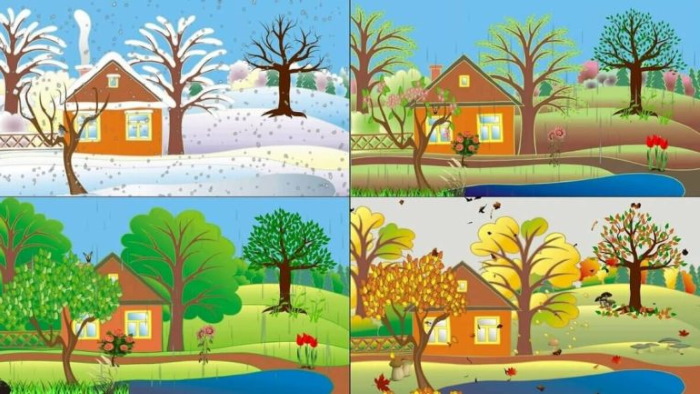 Познавательное развитие в старшей группе. Картотека с целями по ФГОС