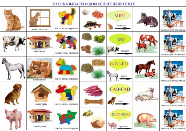 Познавательное развитие в старшей группе. Картотека с целями по ФГОС