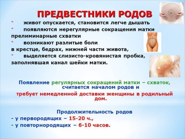 Предвестники родов у повторнородящих на 36-37-38-39 неделе