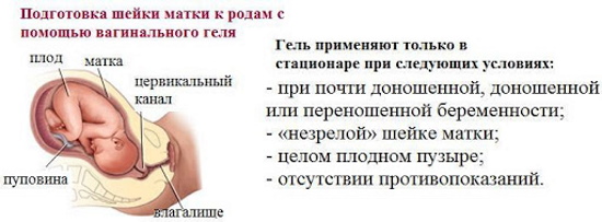 Предвестники родов у повторнородящих на 36-37-38-39 неделе