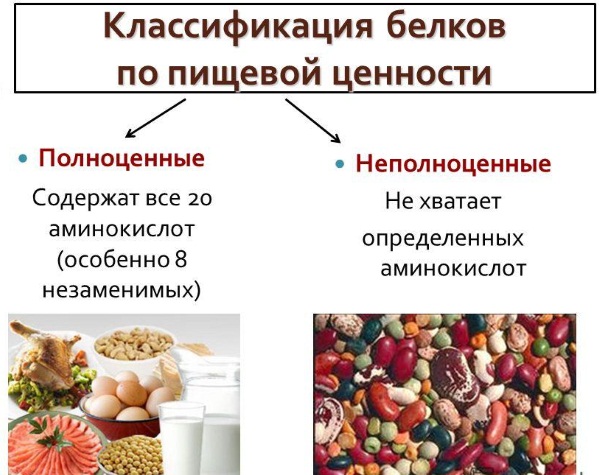 Продукты богатые белком. Таблица для похудения, тренировок, набора веса, вегетарианцев, беременных, кормящих мам
