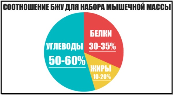 Продукты богатые белком. Таблица для похудения, тренировок, набора веса, вегетарианцев, беременных, кормящих мам
