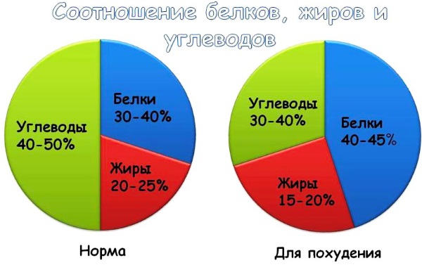 Продукты богатые белком. Таблица для похудения, тренировок, набора веса, вегетарианцев, беременных, кормящих мам