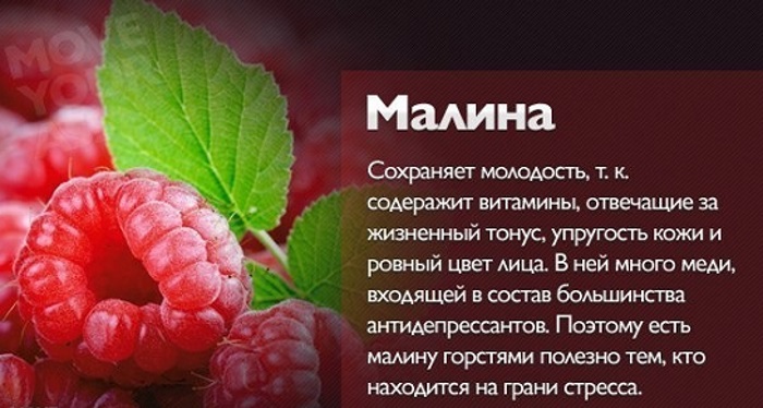 Продукты, выводящие жидкость из организма, при беременности, для похудения. Какие задерживают жидкость