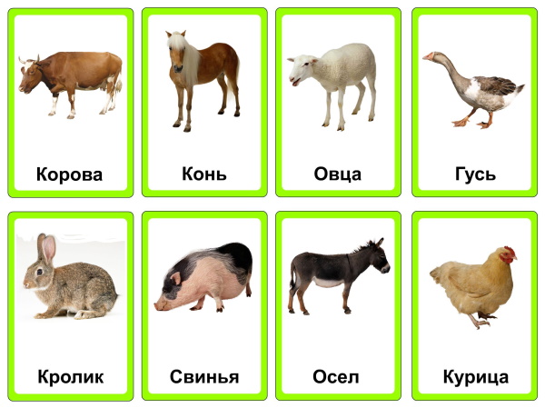 Программа ИСТОКИ по ФГОС в детском саду