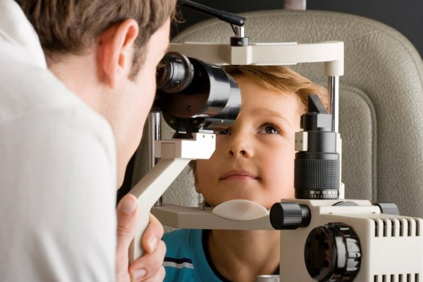 Программа Плаксиной для детей с нарушением зрения для начальной школы, дошкольников