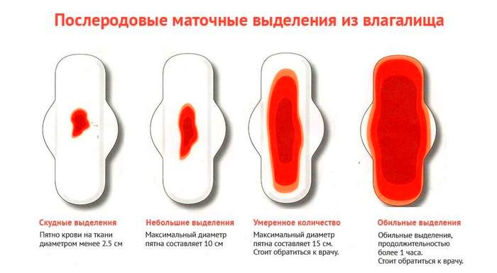 Месячные после родов, когда начинаются, сколько и идут, когда ждать, если начались и пропали
