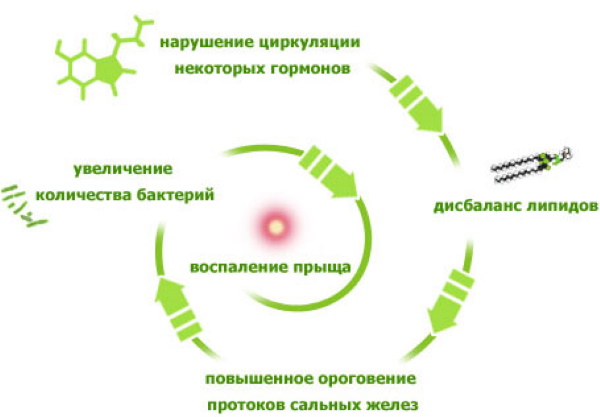 Прыщи после родов на лице, подбородке, щеках, ногах, руках. Как избавиться
