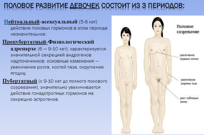 Пубертатный период у девочек. Возраст, признаки полового созревания, психология