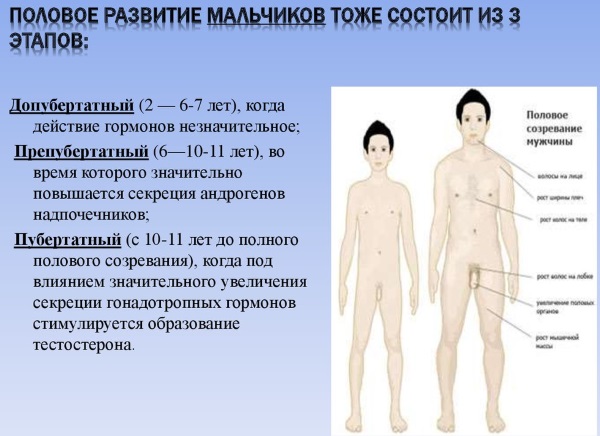 Пубертатный период у мальчиков. Что это такое, возраст, признаки, сколько длится кризис, как вести себя родителям