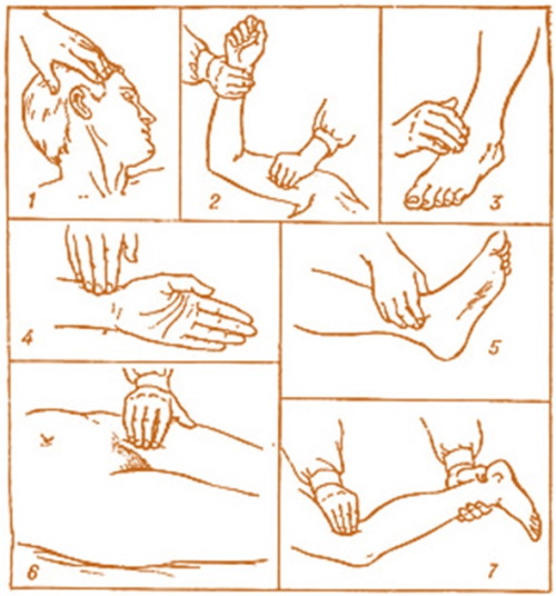 Пульс у ребенка годовалого, 2-11 лет, новорожденного. Норма, учащенный, давление