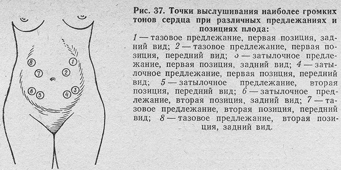 Расположение ребенка в животе по неделям беременности