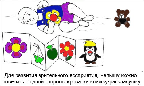 Развитие ребенка в 6 месяцев девочка, мальчик. Что должен уметь, этапы, нормы, стадии. Физическое, эмоциональное, речевое, психомоторное, социальное, психическое