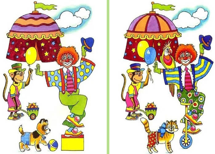 Развивалки для детей 4-5-6 лет: картинки, игры, задания