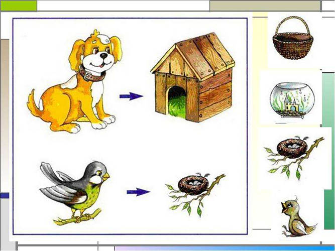 Развивалки для детей 4-5-6 лет: картинки, игры, задания