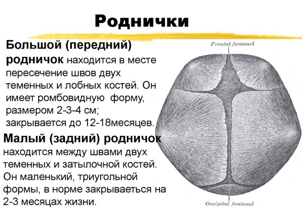 Ребенок в 2 месяца. Развитие, питание, вес и рост, как держит голову, видит, спит