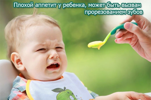 Что должен уметь ребенок в 9 месяцев: мальчик, девочка. Карта развития, памятка для родителей