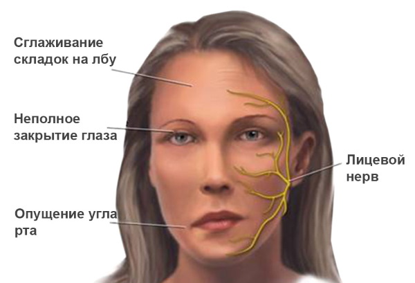 Ребенок вялый и сонливый, температуры нет, медлительный, плохо ест. Причины и что делать
