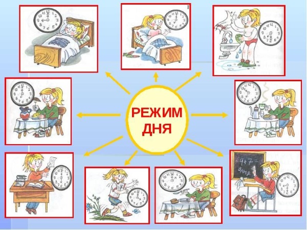 Режим дня школьника начальных классов. Образец первая, вторая смена