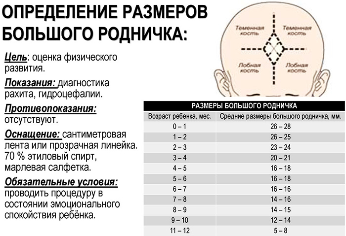 Родничок у ребенка большой, маленький. Когда закрывается, возраст, почему впалый, выпуклый, пульсирует