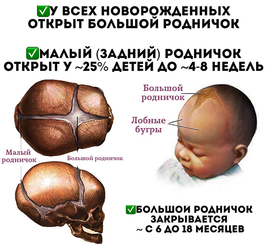 Родничок у ребенка большой, маленький. Когда закрывается, возраст, почему впалый, выпуклый, пульсирует