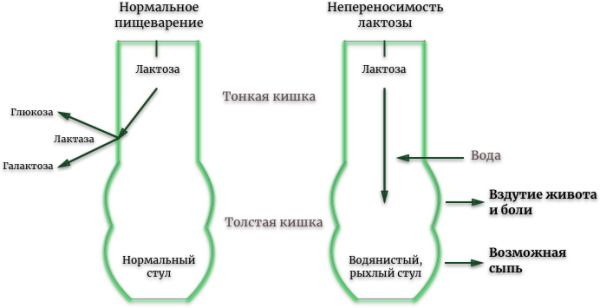 Рост новорожденного ребенка по месяцам мальчика, девочки. Скачек, норма