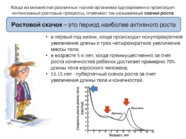 Рост ребенка по годам. Таблица для девочек/мальчиков. Нормы и отклонения